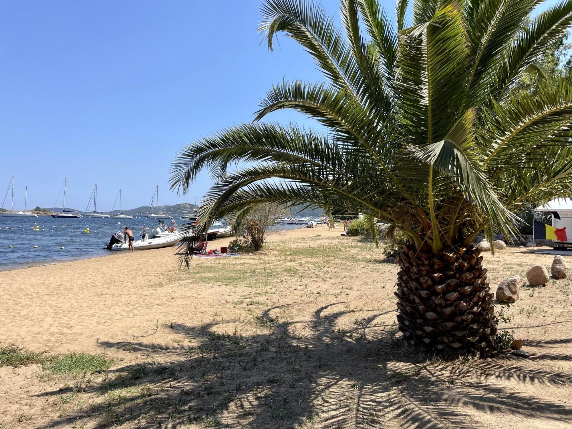 La Baie Des Voiles Campsite Porto-Vecchio (Corsica)